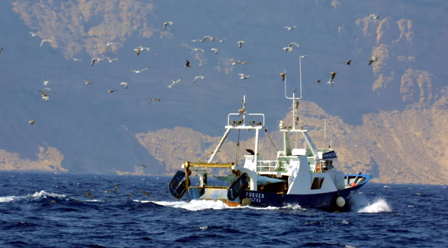 Croatie : les petits pêcheurs s’engagent