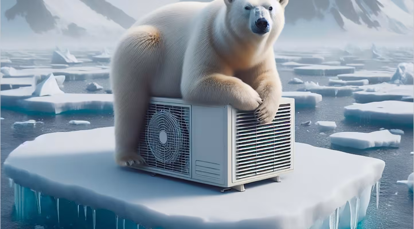 Lueur d’espoir pour l’ours polaire