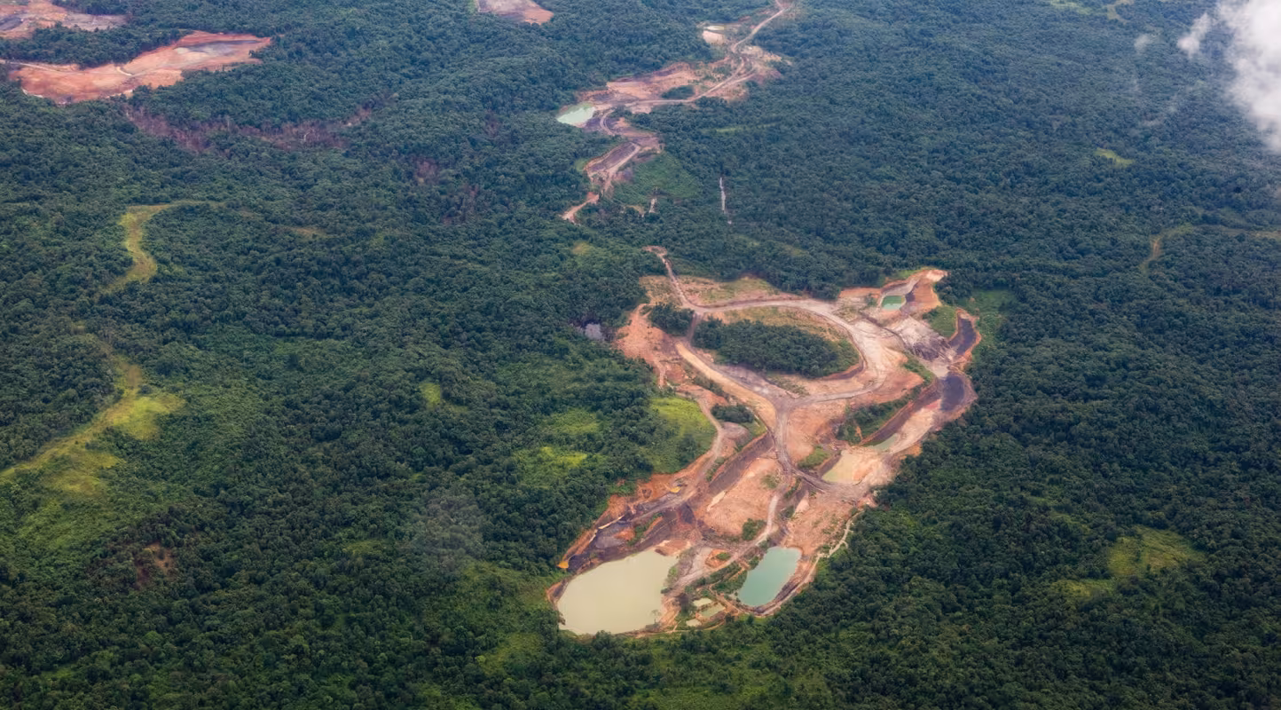 Vue aérienne de la déforestation dans le Kalimantan oriental (Indonésie)