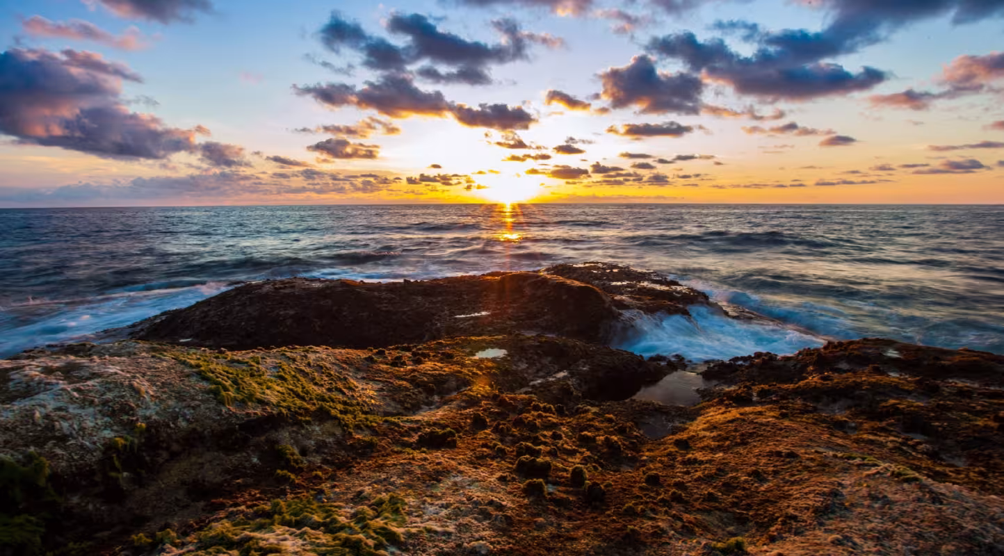 Tun Mustapha Park, pointe de Bornéo (Malaisie) 