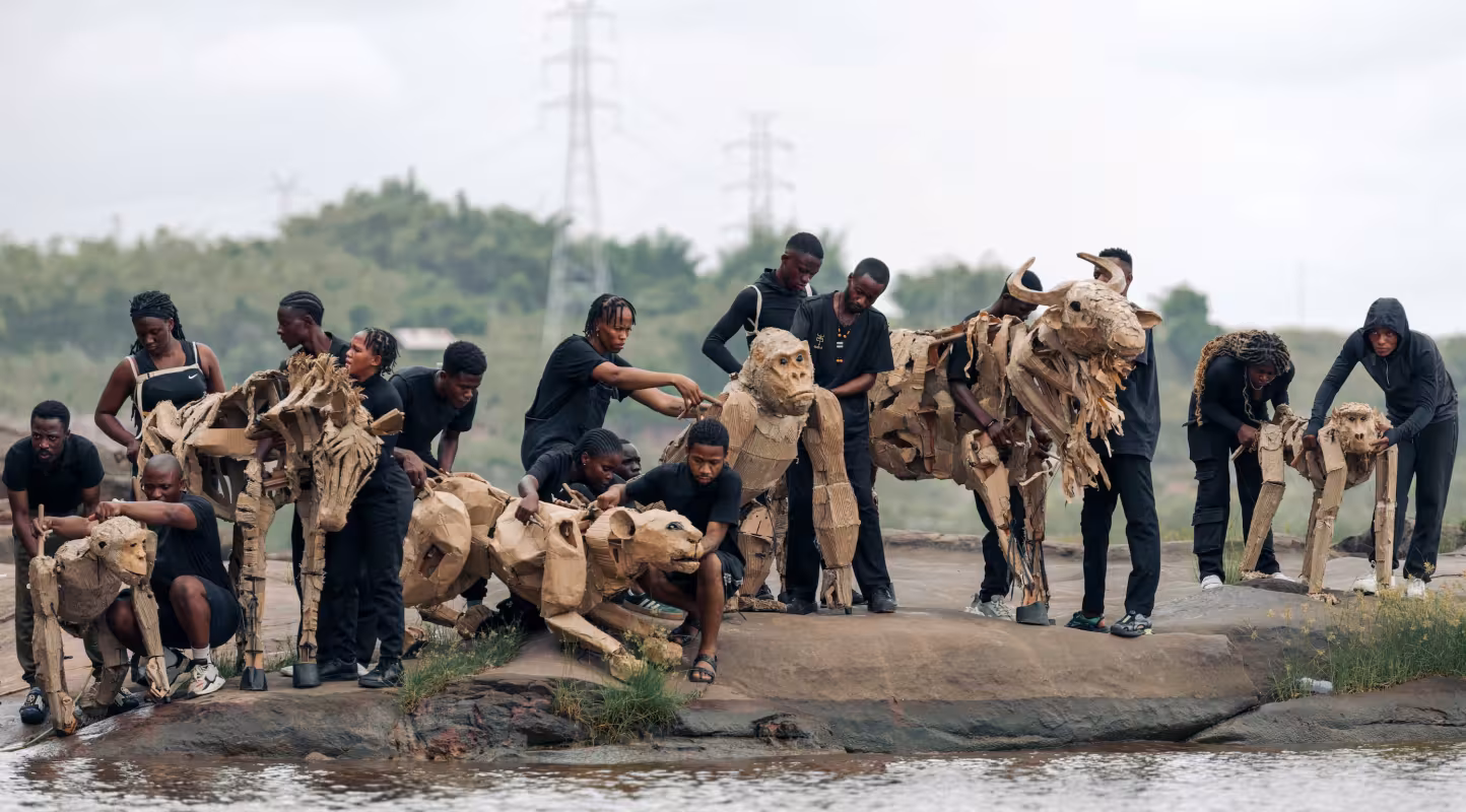 THE HERDS Kinshasa - Congo Basin (c) Berclaire for The Walk Productions