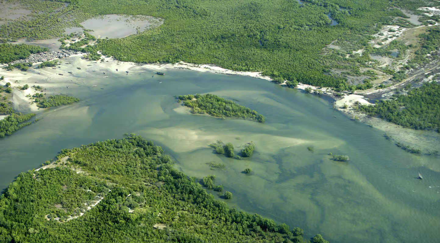 Photo aérienne du delta Rufiji, Tanzanie