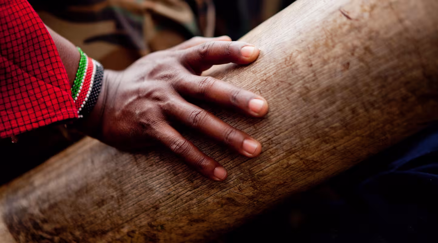 Main de David Leto, officier en charge de la protection des éléphants pour le WWF Kenya, Masai Mara, Kenya