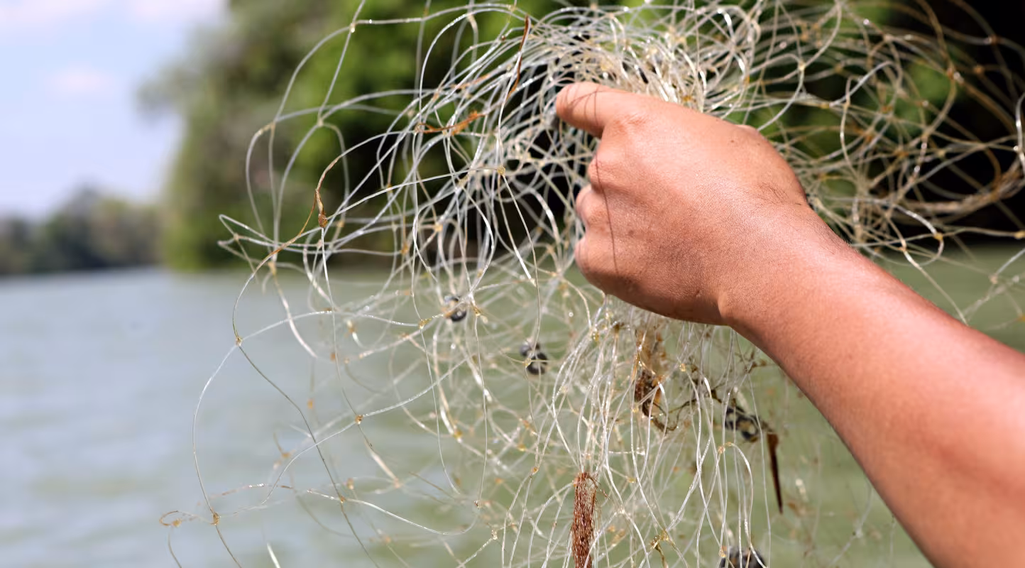 Un ranger sort de l'eau un filet de pêche installé illégalement au Cambodge