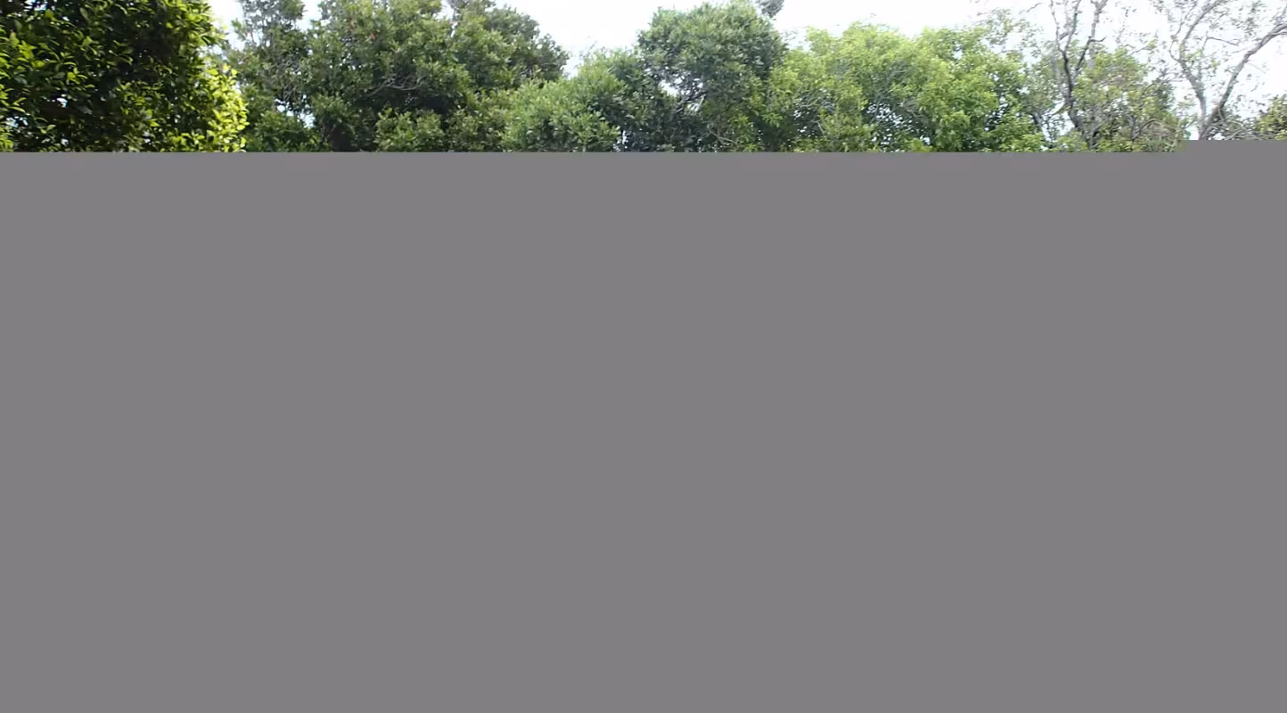 Equipe St Jean Baptiste mobilisée pour la sauvegarde des forêts sèches