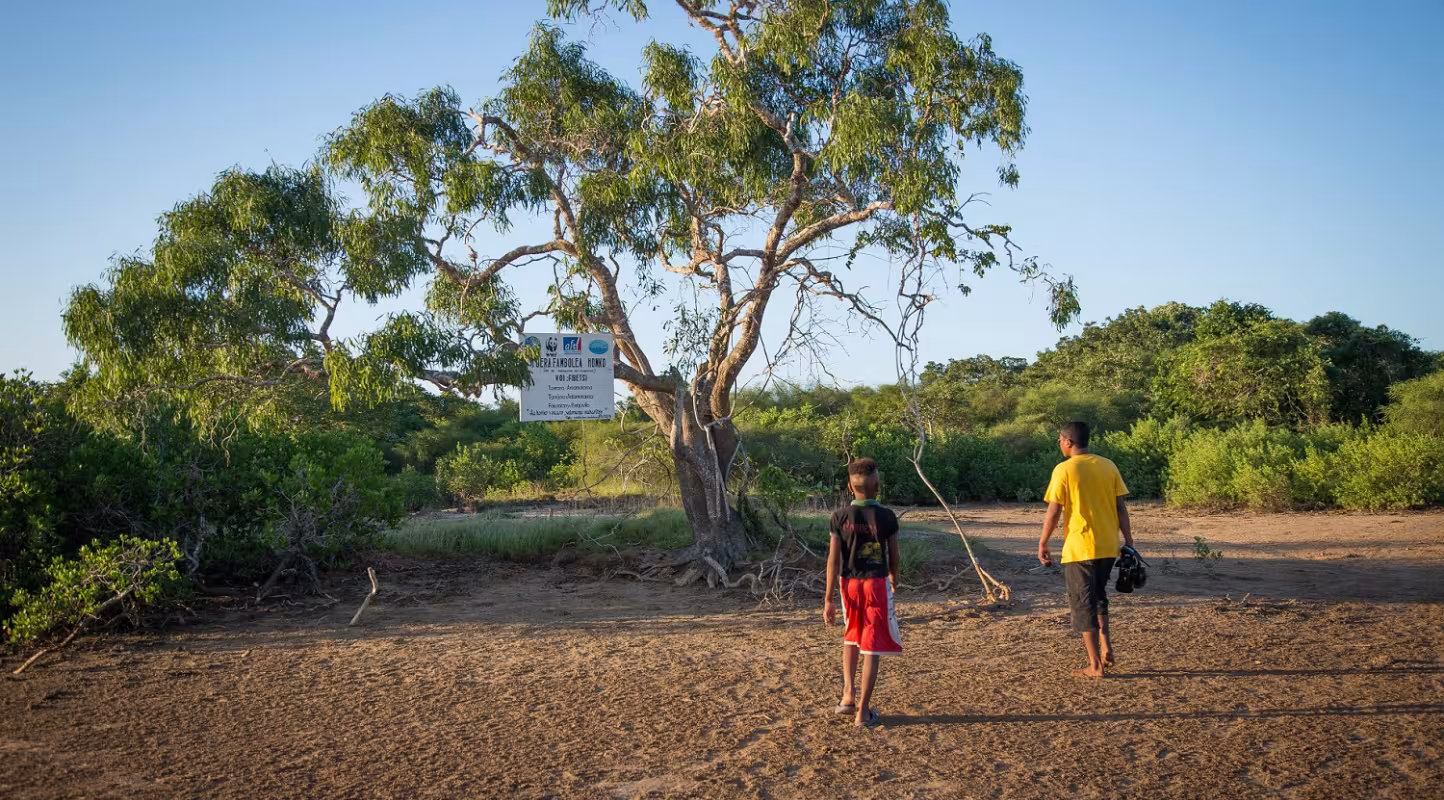 Site de restauration Benjavilo de la mangrove de Madagascar