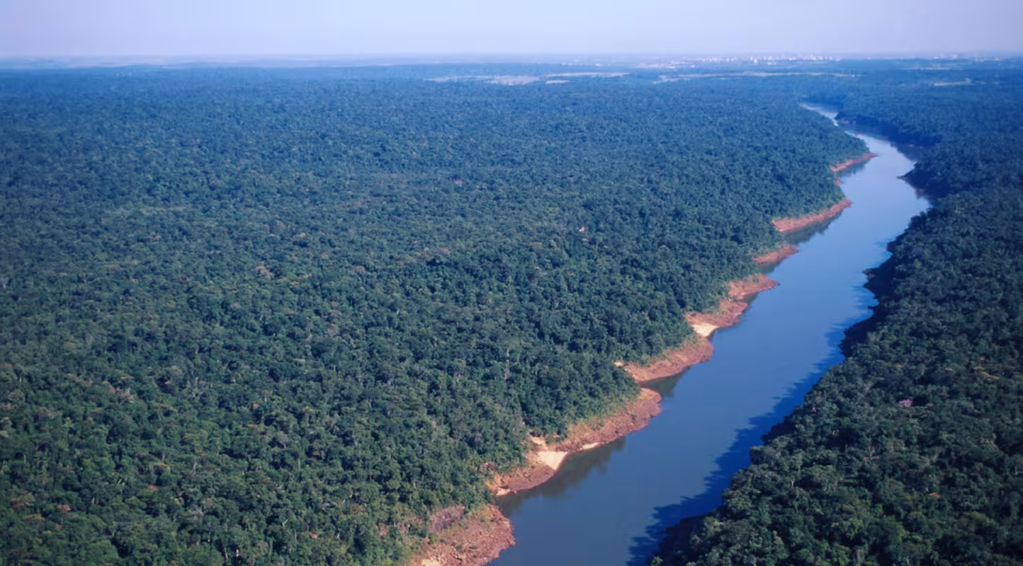 Vue aérienne du parc national Iguaçu, Forêt Atlantique, Paraná, Brésil