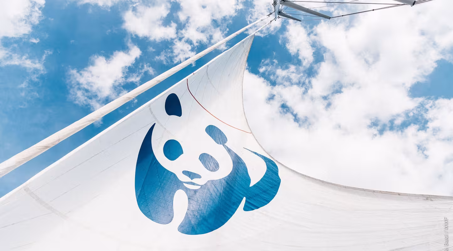 Le Blue Panda : notre voilier pour préserver la Méditerranée