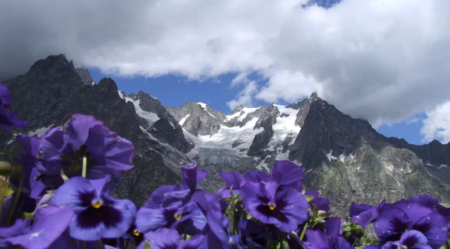 Alpes et capucines, Italie