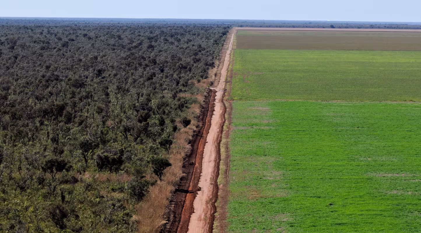 Vue aérienne des cultures de soja dans le Cerrado