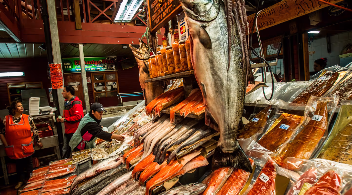 Saumons à vendre sur un marché de Puerto Montt, Chili