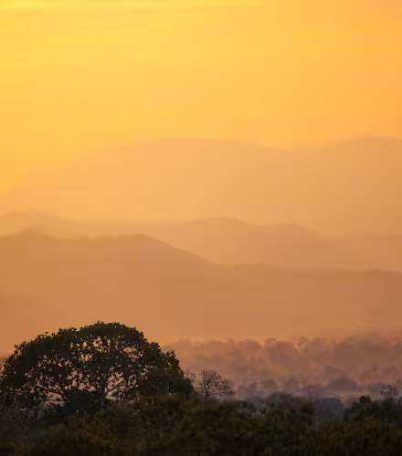 Coucher de soleil sur la réserve de Selous en Tanzanie