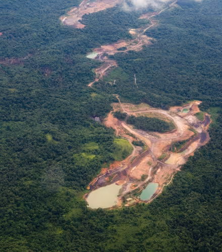 Vue aérienne de la déforestation dans le Kalimantan oriental (Indonésie)