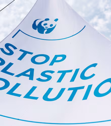 La voile du Blue Panda à l'effigie du Stop Plastic Pollution Tour