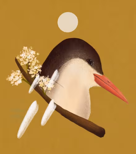 Illustration de Paulie Heart pour l'épisode 5 de la saison 2 du podcast l'Effet Panda.