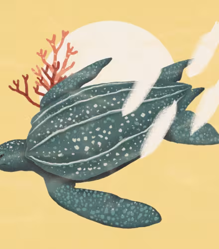 Illustration de Paulie Heart pour l'épisode 2 de la saison 2 du podcast l'Efffet Panda 