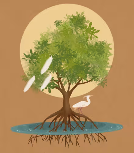 Illustration de Paulie Heart pour l'épisode 4 de la saison 2 du podcast l'Efffet Panda.