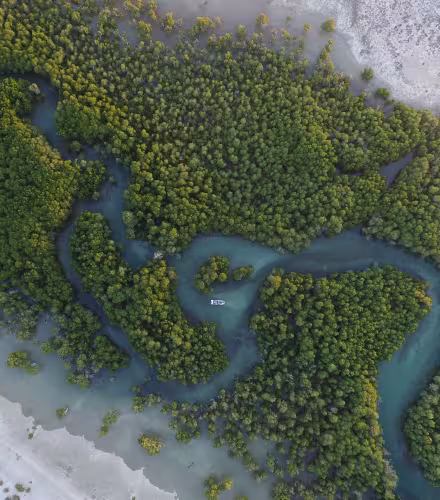 Vue aérienne d'une mangrove à Madagascar